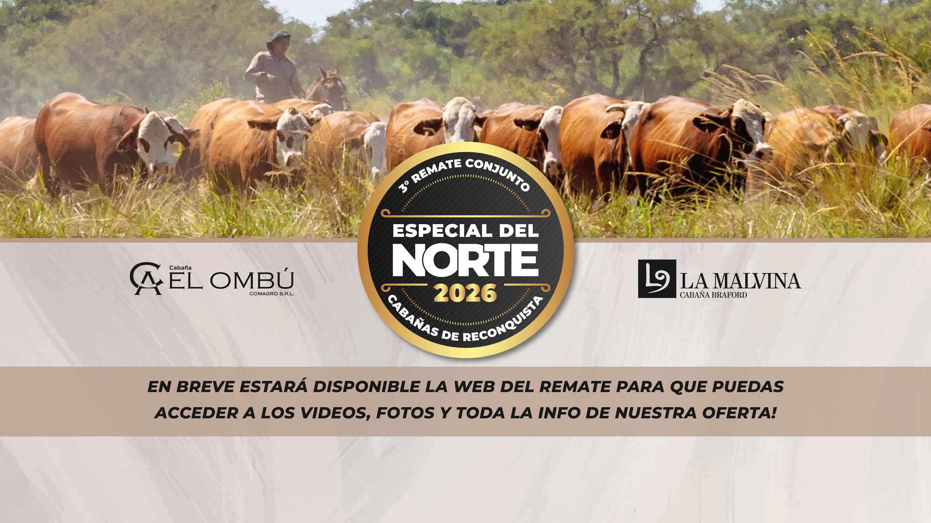 Descripción de la imagen